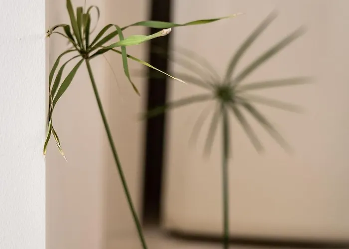 Casa Piccadilly Sobral (Leiria)